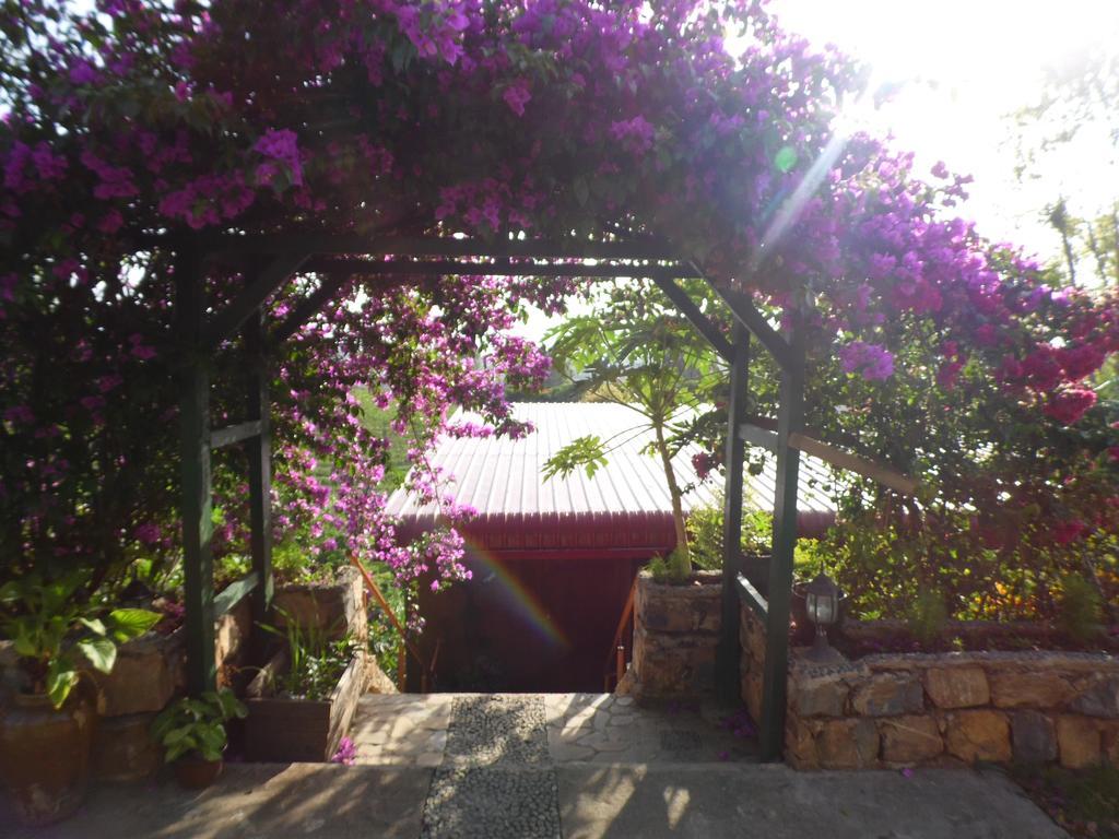 Aythaya Monte Divino Lodge Taunggyi Extérieur photo